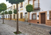 Sòl urbà en venda a la España, Bormujos, ref.: TR373175 foto