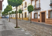 Sòl urbà en venda a la España, Bormujos, ref.: TR373175 foto
