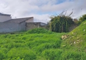 Sòl urbà en venda a la España, Bormujos, ref.: TR373175 foto