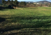 Non-developable land for sale on España, Soto de Llanera, ref: TR126508 photo