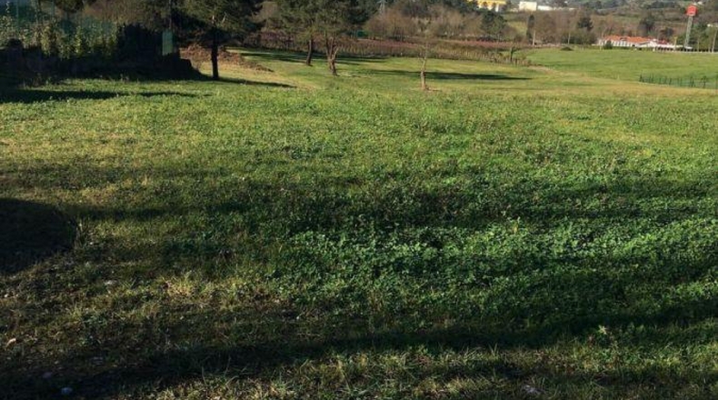 Asturias - Prubia de Arriba - 15000m2