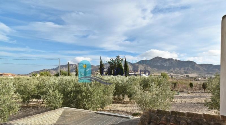 Murcia - Mazarrón - 9905m2