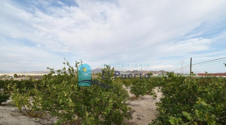 Murcia - Mazarrón - 9905m2