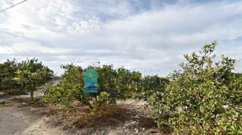 Murcia - Mazarrón - 9905m2