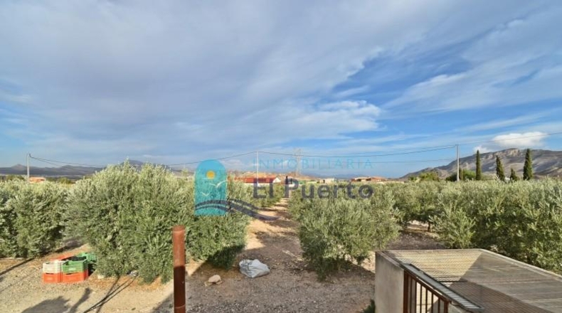 Murcia - Mazarrón - 9905m2