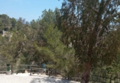 Detached villa with land for sale on España, Orxeta, ref: TR162732 photo