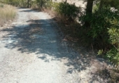 Detached villa with land for sale on España, Orxeta, ref: TR162732 photo