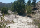 Detached villa with land for sale on España, Orxeta, ref: TR162732 photo