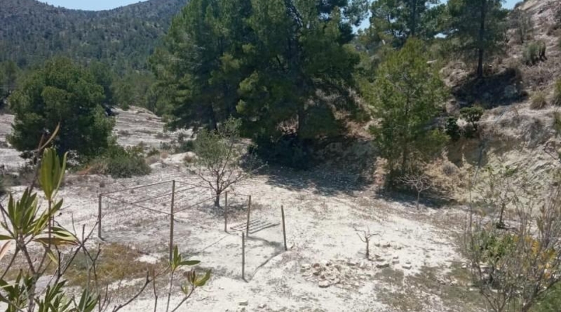 Alicante - Orxeta - 15000m2