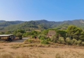 Xalet independent amb terreny en venda a la España, Riudecols, ref.: TR184539 foto