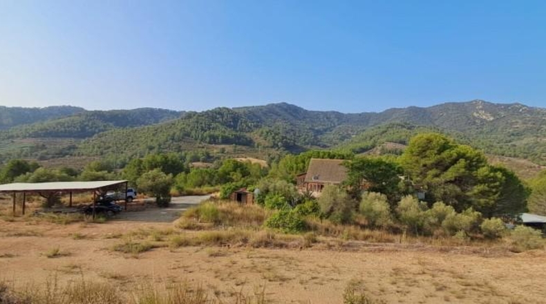 Tarragona - Riudecols - 60955m2