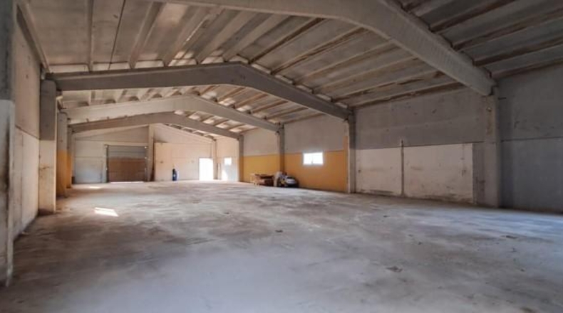Tarragona - Riudecols - 60955m2