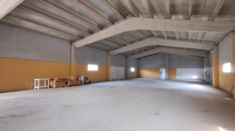 Tarragona - Riudecols - 60955m2