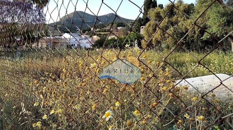 Malaga - Málaga - 800m2