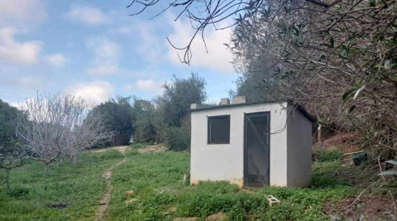 Cádiz - Jimena de la Frontera - 200m2