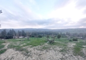 Country house with land for sale on España, Jimena de la Frontera, ref: TR161311 photo
