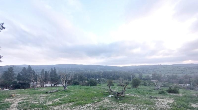 Cádiz - Jimena de la Frontera - 200m2
