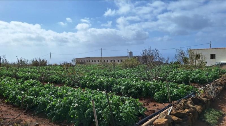 Santa Cruz de Tenerife - Tacoronte - 10401m2