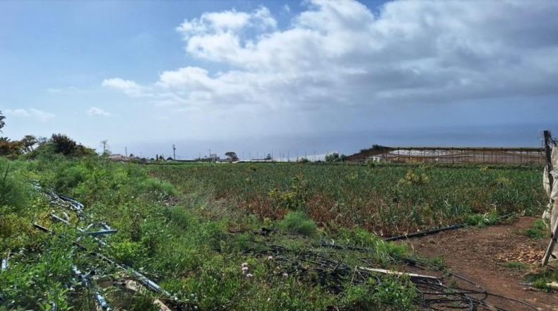 Santa Cruz de Tenerife - Tacoronte - 10401m2