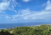 Country house with land for sale on España, Tacoronte, ref: TR161675 photo