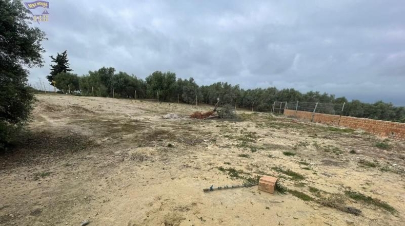 Cádiz - Arcos de la Frontera - 25000m2