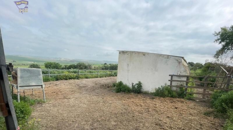 Cádiz - Arcos de la Frontera - 25000m2
