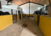 Xalet independent amb terreny en venda a la España, Arcos de la Frontera, ref.: TR158137 foto