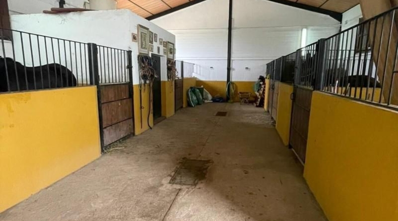 Cádiz - Arcos de la Frontera - 25000m2