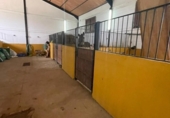 Xalet independent amb terreny en venda a la España, Arcos de la Frontera, ref.: TR158137 foto