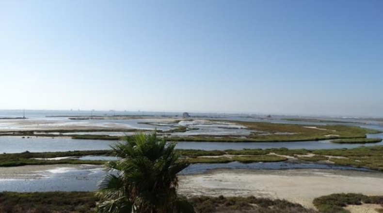 Múrcia - San Javier - 600m2