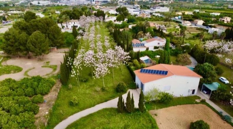Alicante - Pedreguer - 12500m2