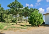 Casa de camp amb terreny en venda a la España, Pedreguer, ref.: TR245840 foto