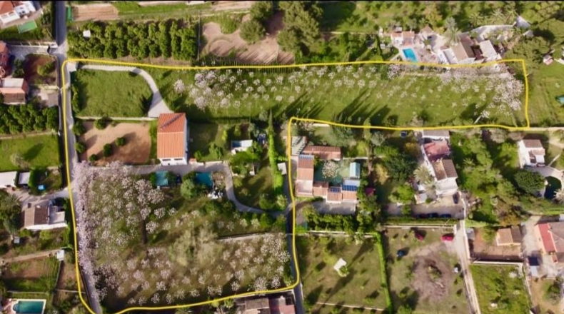 Alicante - Pedreguer - 12500m2