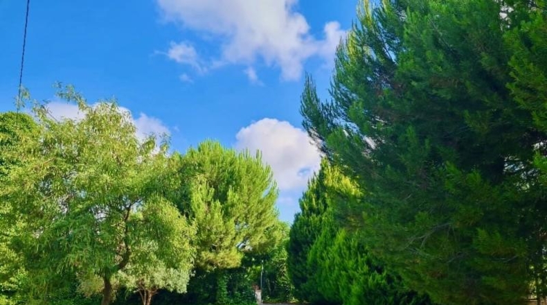 Alicante - Pedreguer - 12500m2