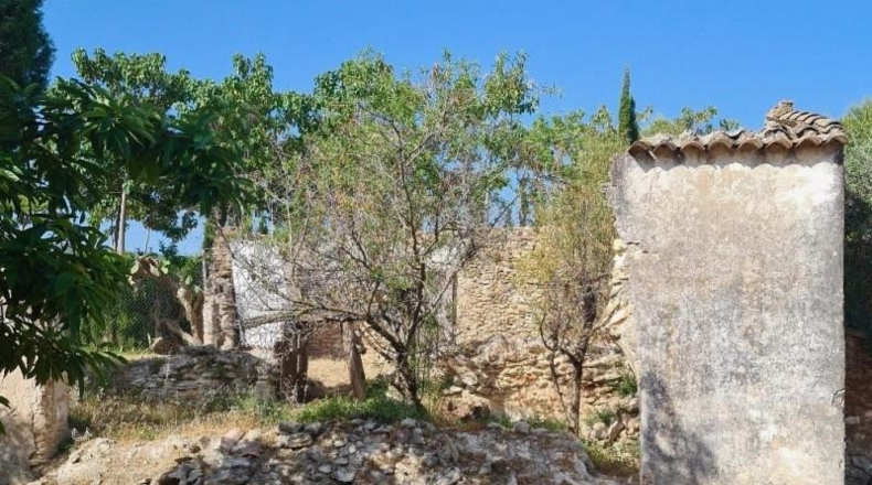 Alicante - Pedreguer - 12500m2