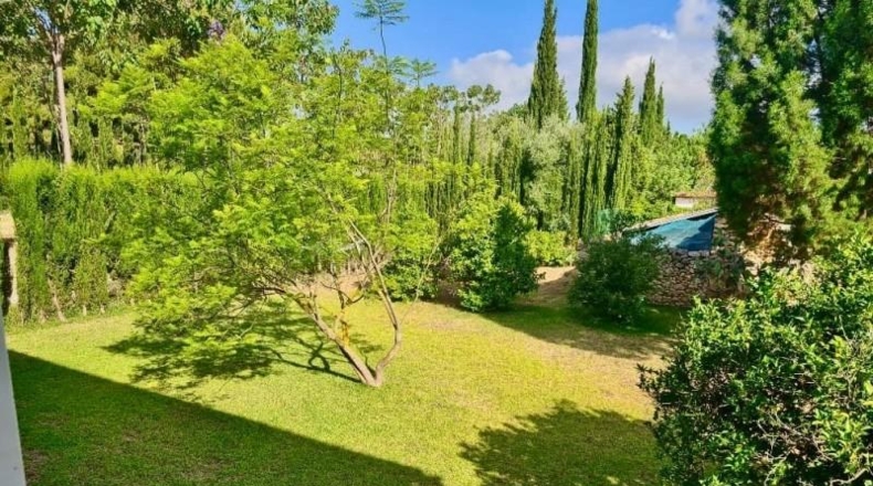 Alicante - Pedreguer - 12500m2
