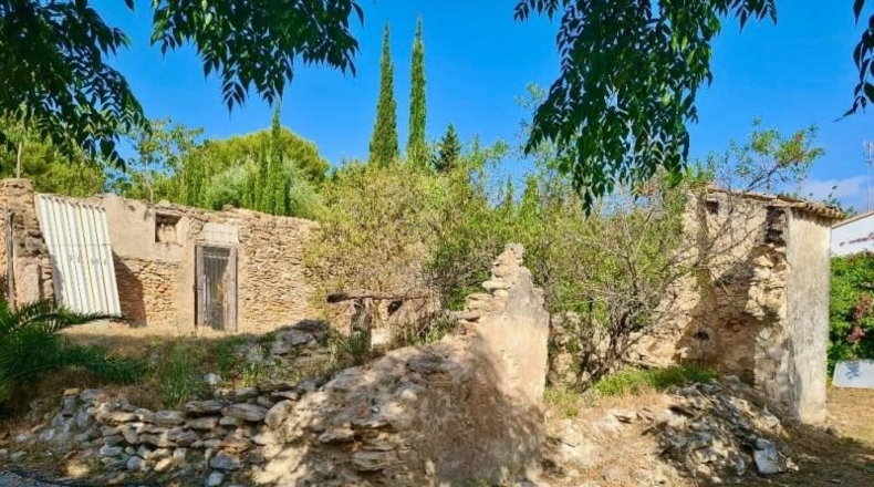 Alicante - Pedreguer - 12500m2