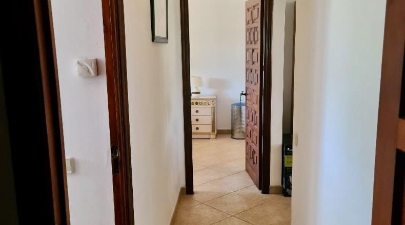 Alicante - Pedreguer - 12500m2