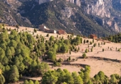 Masía con terreno en venta en la España, Vistabella del Maestrat, ref: TR277569 foto
