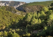 Masía con terreno en venta en la España, Vistabella del Maestrat, ref: TR277569 foto