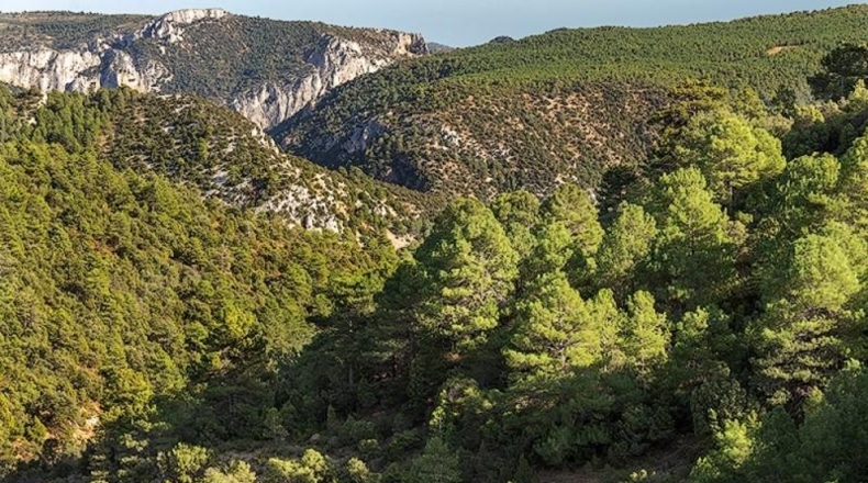 Castellón - Vistabella del Maestrat - 2140000m2