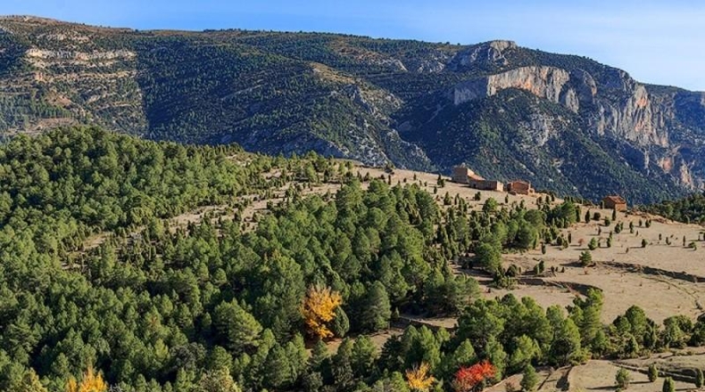 Castellón - Vistabella del Maestrat - 2140000m2