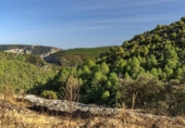 Masía con terreno en venta en la España, Vistabella del Maestrat, ref: TR277569 foto