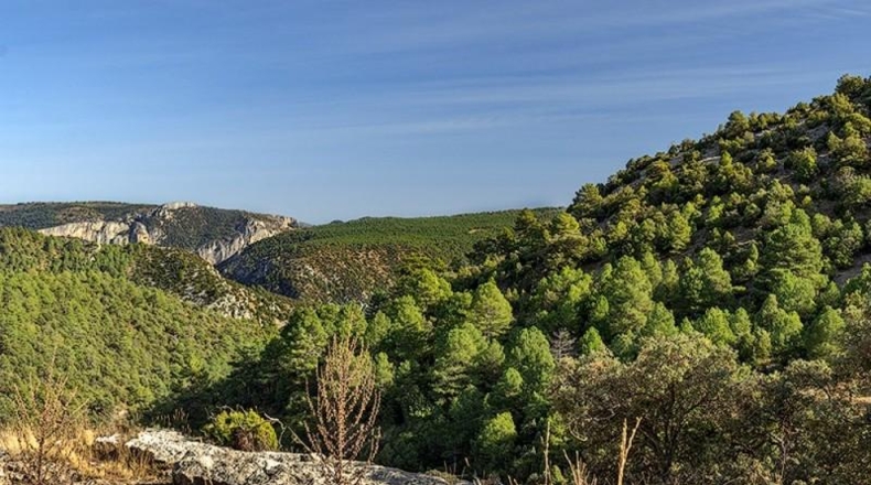 Castellón - Vistabella del Maestrat - 2140000m2