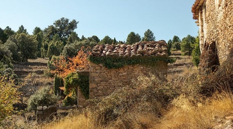 Castellón - Vistabella del Maestrat - 2140000m2