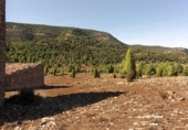 Masía con terreno en venta en la España, Vistabella del Maestrat, ref: TR277569 foto