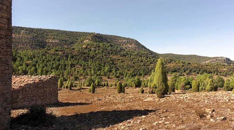 Castellón - Vistabella del Maestrat - 2140000m2