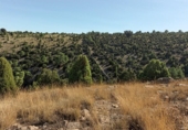 Masía con terreno en venta en la España, Vistabella del Maestrat, ref: TR277569 foto
