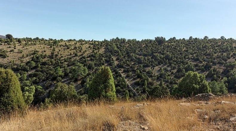 Castellón - Vistabella del Maestrat - 2140000m2