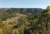 Masía con terreno en venta en la España, Vistabella del Maestrat, ref: TR277569 foto